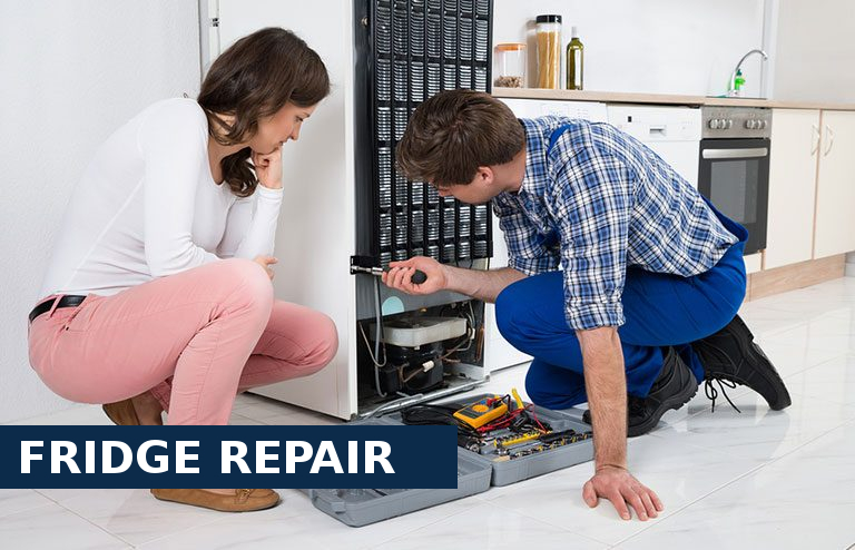 Fridge Repair Becontree Heath